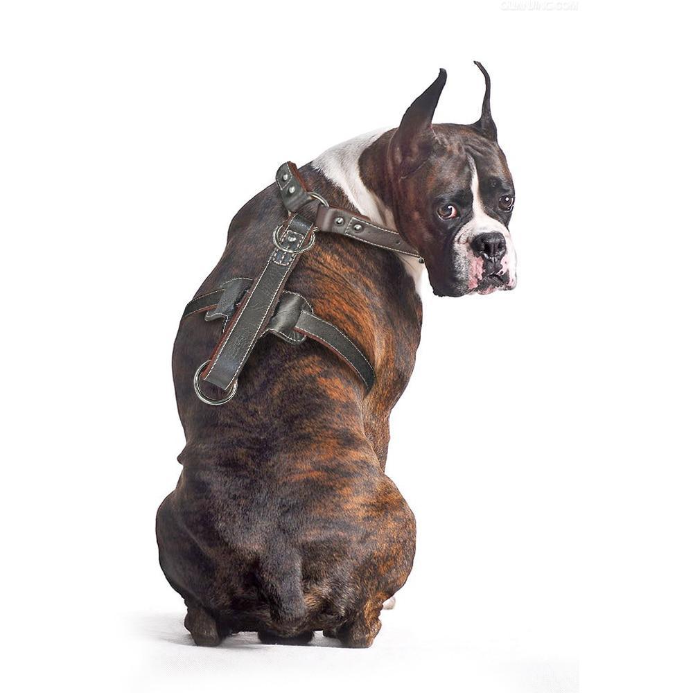 Genuine Leather Dog Harness/Durable Adjustable Big Large Dog Vest - The GoatFind Dark Brown / XL, Dark Brown / 2XL, Dark Brown / 3XL