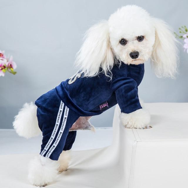 Fashion Coord Dogs Hoodie Sweatshirt & pants/Dog Clothes - The GoatFind Red / XS, Red / S, Red / M, Red / L, Red / XL, Blue / XS, Blue / S, Blue / M, Blue / L, Blue / XL