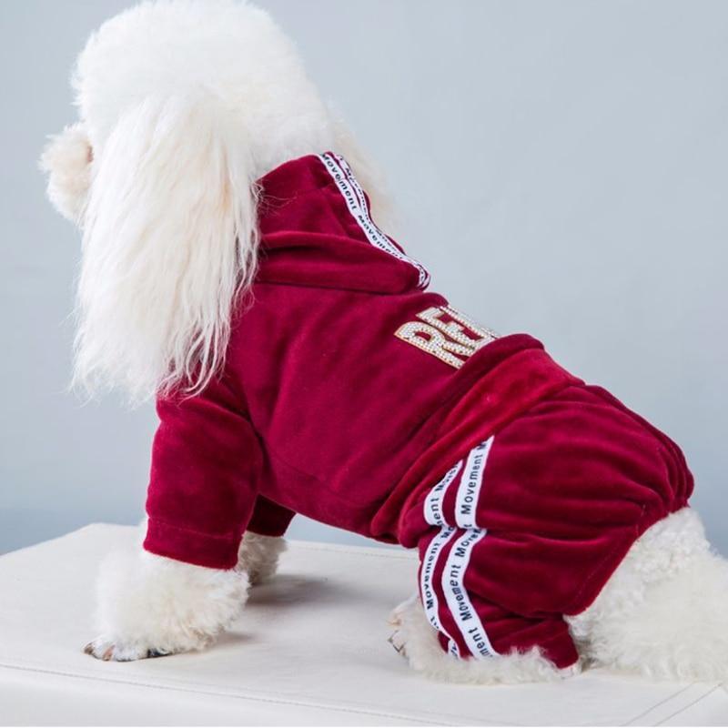 Fashion Coord Dogs Hoodie Sweatshirt & pants/Dog Clothes - The GoatFind Red / XS, Red / S, Red / M, Red / L, Red / XL, Blue / XS, Blue / S, Blue / M, Blue / L, Blue / XL