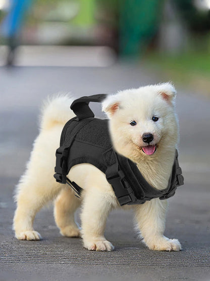 Dog Harness & Leash Set For Small Dog/Cats K9 Vest/Service Working Training - The GoatFind