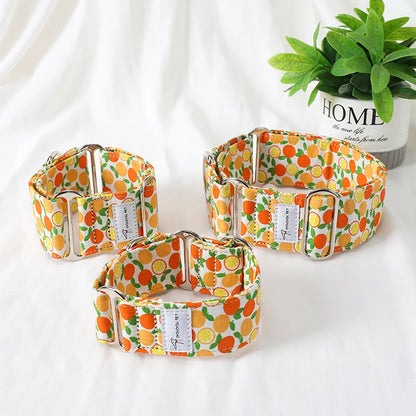 Italian Greyhound/Whippet Martingale Adjustable patterned Dog collar - The GoatFind