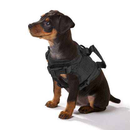 Dog Harness & Leash Set For Small Dog/Cats K9 Vest/Service Working Training - The GoatFind