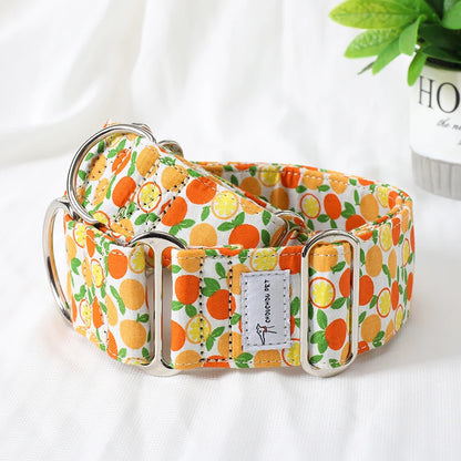 Italian Greyhound/Whippet Martingale Adjustable patterned Dog collar - The GoatFind