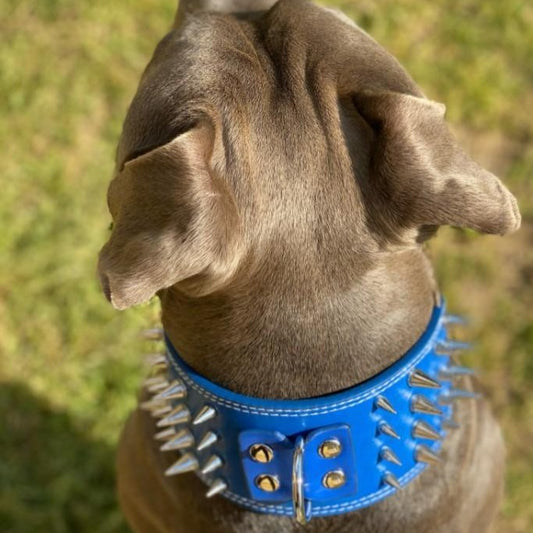 3 inch Leather Spike Studded Dog Collar The GoatFind 