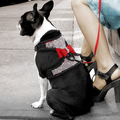Bedazzled Rhinestone Blinged Dog Harness Vest - The GoatFind