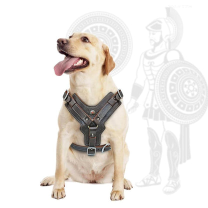 Genuine Leather Dog Harness/Durable Adjustable Big Large Dog Vest - The GoatFind