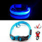 Original Glow in the Dark LED Dog Collars/USB Charging Anti-Lost Avoid Car Accident Collar For Dogs The G.O.A.T. Find Blue Button Battery XL NECK 52-60 CM 