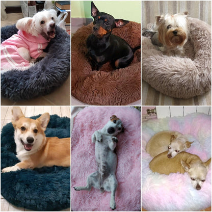 Super Soft Plush Pet Donut Lounger Bed for Dogs/Cats/Pets - All Sizes - The GoatFind